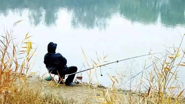 饵料|冬钓鲫鱼的几点，钓友们一定注意区别
