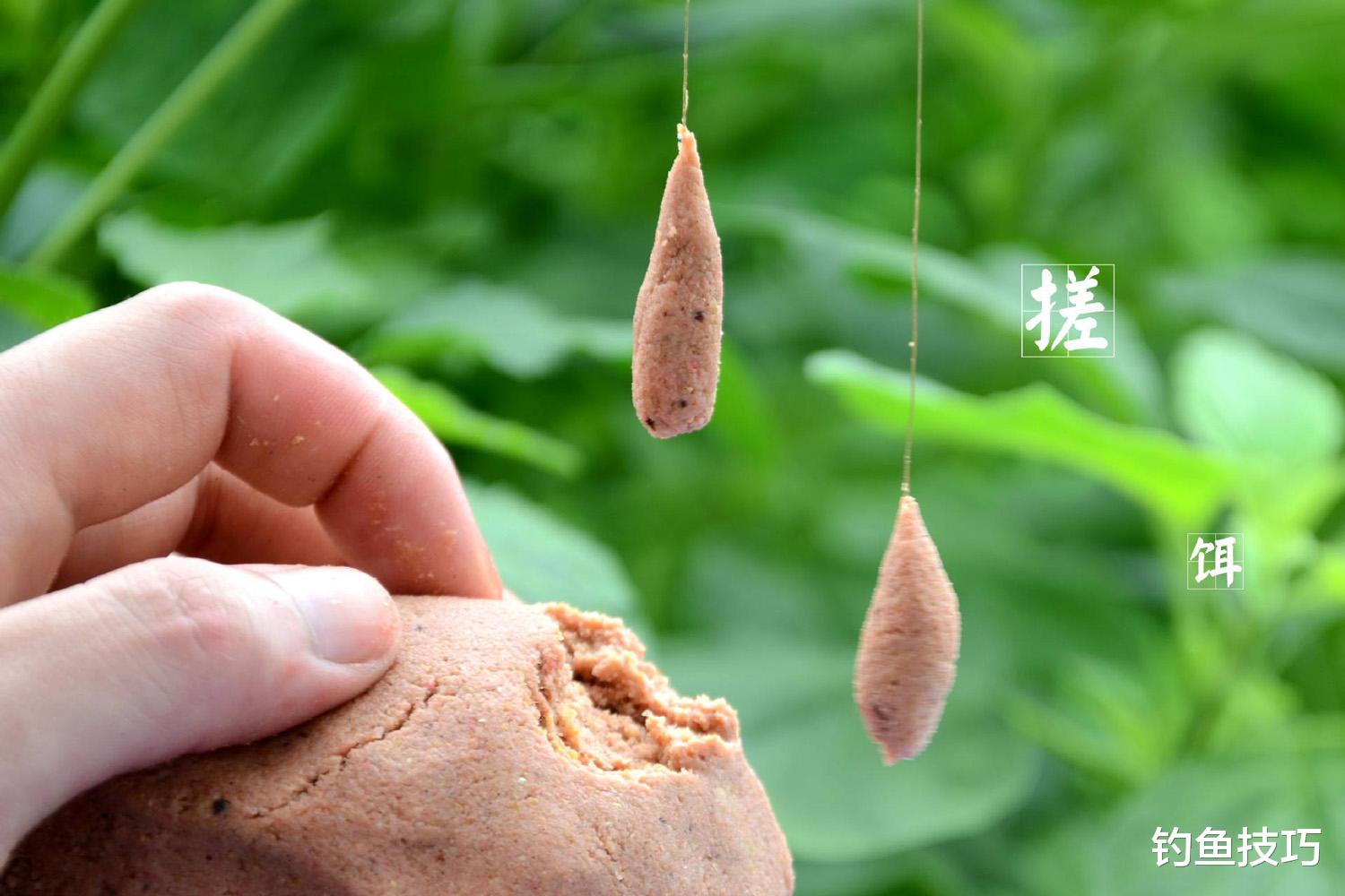 |钓鱼时经常空竿是什么原因?钓鱼空竿的4个主要原因