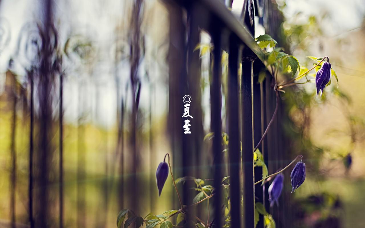 北回归线|二十四节气之夏至