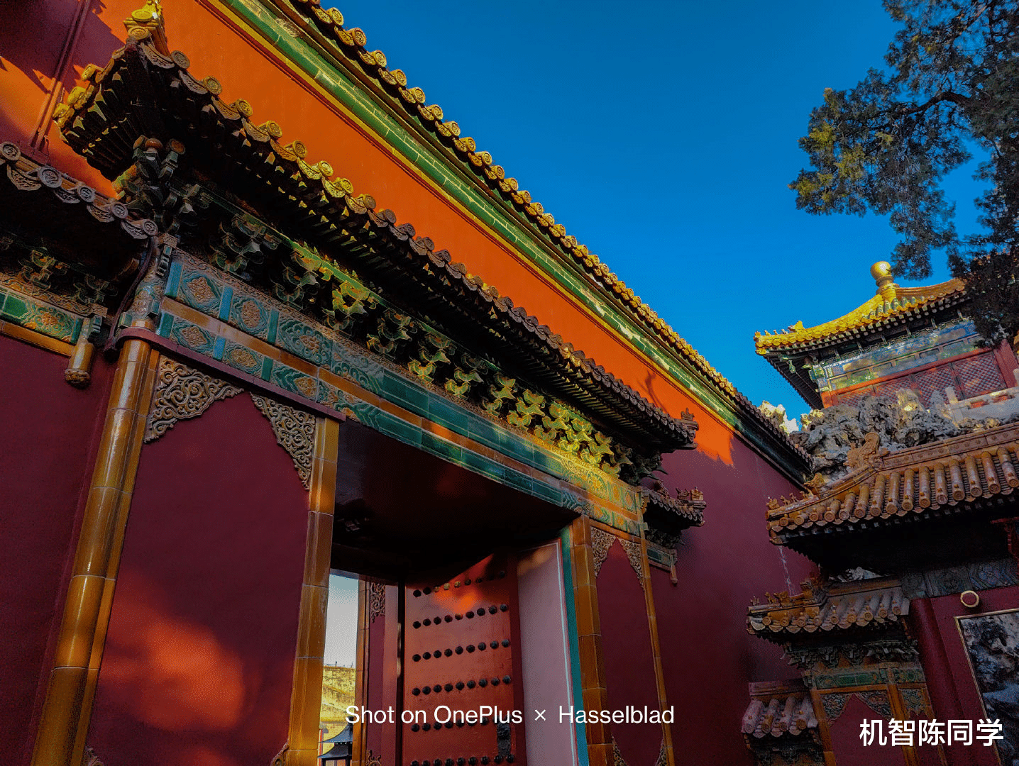 一加科技|汇集摄影师、普通用户!用5000+国产旗舰拍照,他们怎么说?