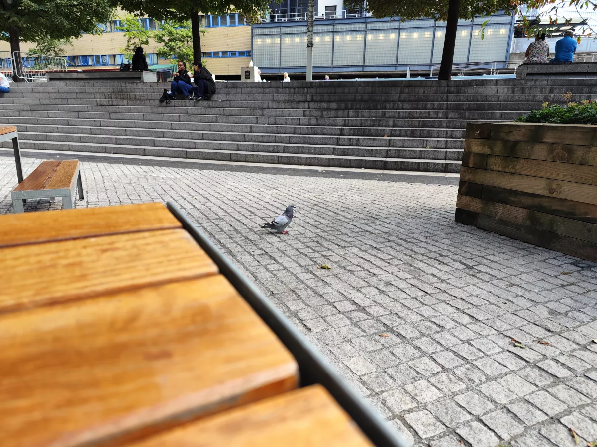 AMD|5个月后小米12S Ultra就过时，在下一代之前，来聊聊这一英寸强者