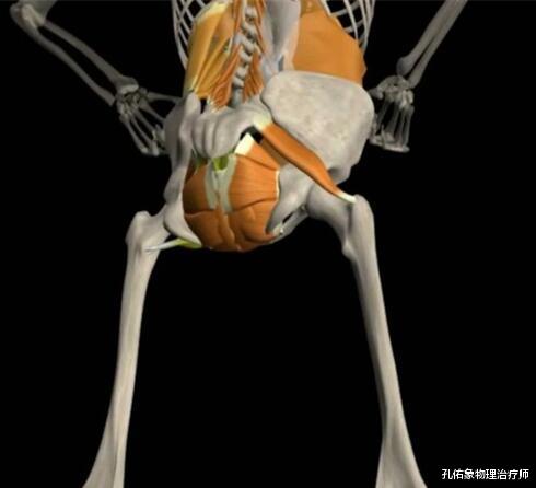 赤芍|80%-90%的腰痛人群被扣上了“腰椎间盘突出症”的帽子，一文诠释