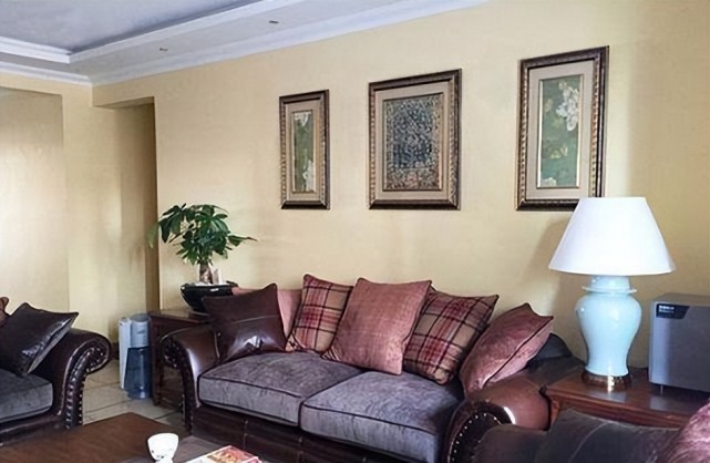 老婆装修把洗衣机放在了餐厅,真的很实用,但朋友却说很奇葩