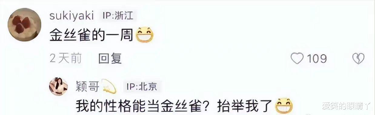 汪小菲|张颖颖发文，称不当金丝雀！汪小菲为何不敢官宣新恋情？