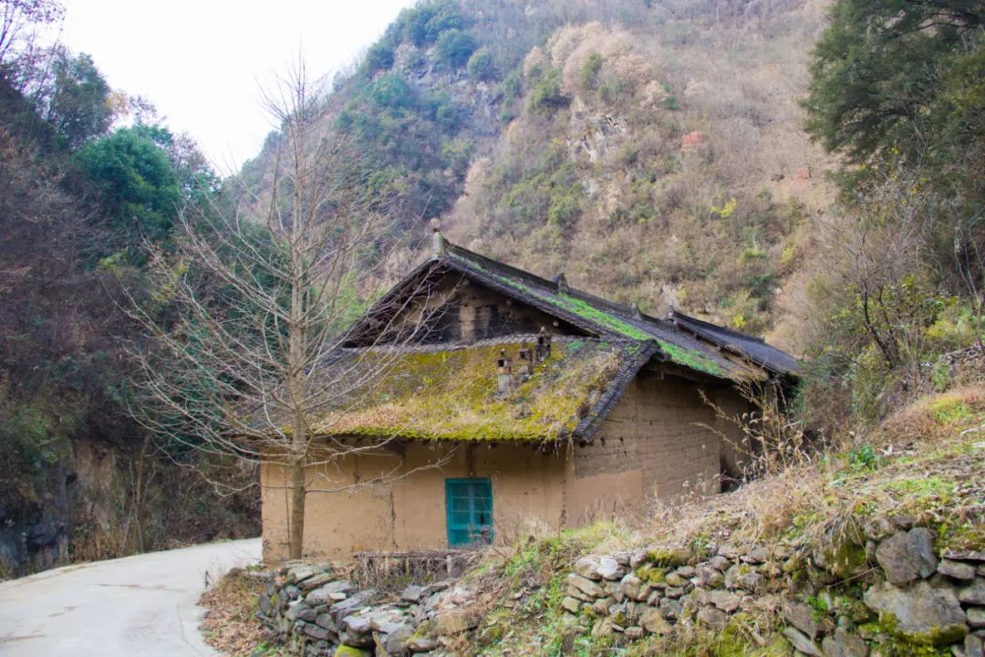 施甸|秦岭山中的老瓦房，为什么屋顶会长满草，原来是因为多了一道工艺