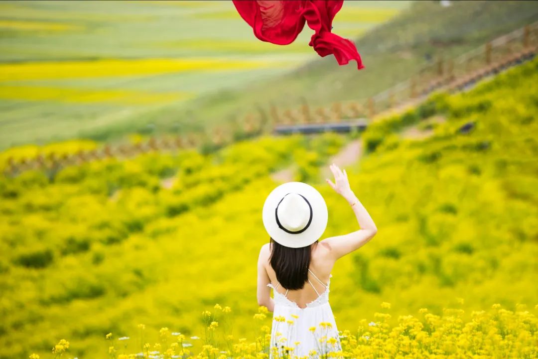 草原|这，才是7月最美的地方！