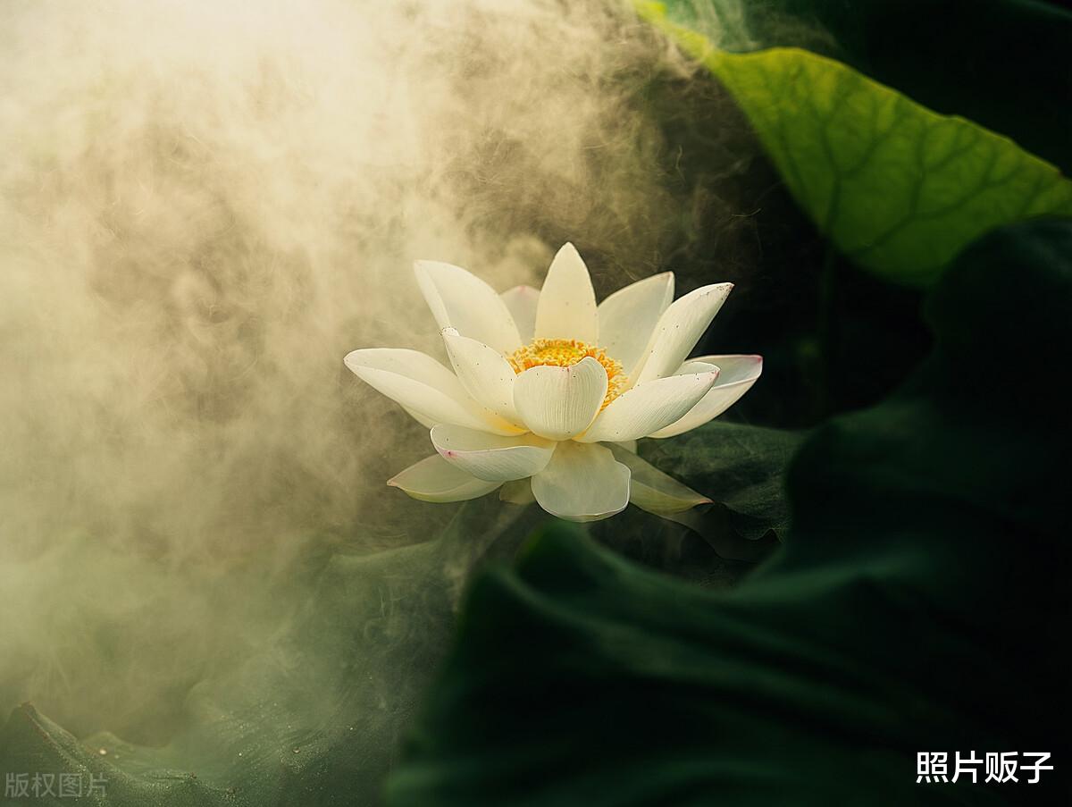 2个很实用的摄影色彩技巧，让你的照片轻松出彩！