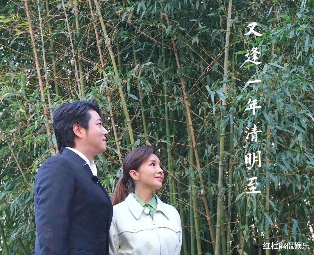 主持人|央视《向幸福出发》主持人调整？周宇2个月就下课，陈旻独挑大梁