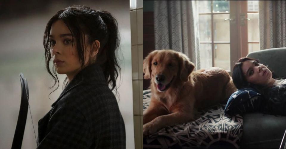 鹰眼|总结关于女鹰眼的10个细节，未来不仅是弓箭手，可能还是侦探