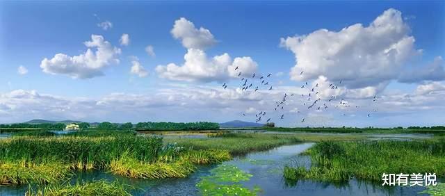 黑龙江|国内值得去的六大沼泽湿地,每个都美得与众不同,你去过几个呢?