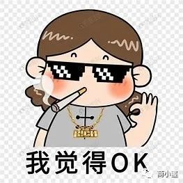 莫瑞娜·巴卡琳 宠物运营规划——别人家的运营