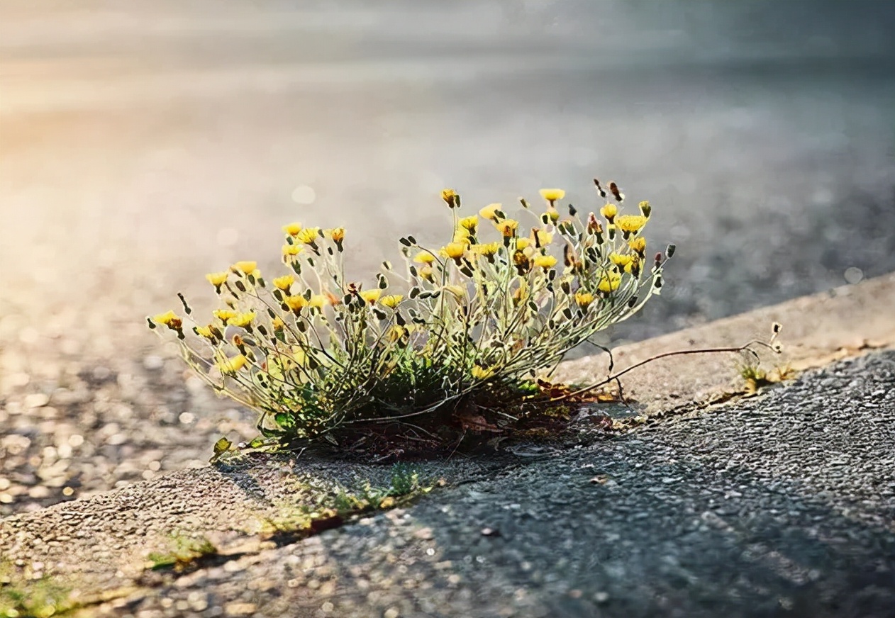 退休|退休后，远离朋友圈，学会做自己