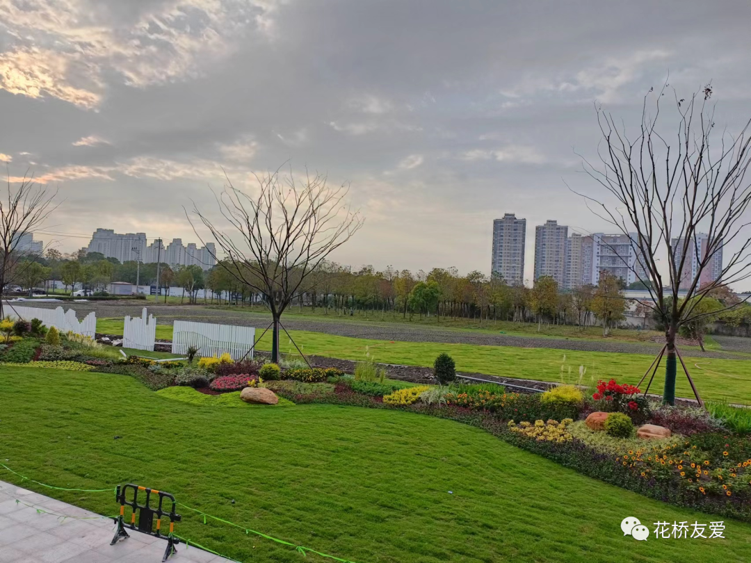 上海市|上海地铁11号线花桥地铁站布置景观绿植