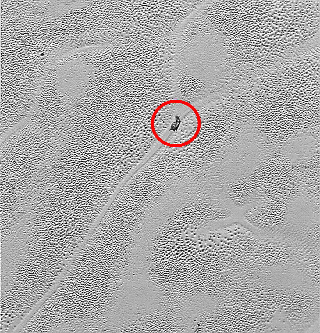 冥王星有多恐怖?零下229℃,氮气冻成冰,被踢出九大行星真不冤