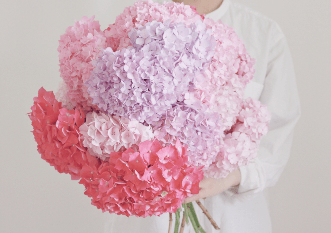 买了栋，复式双露台房，历时4年改造成露台花园，太好看了