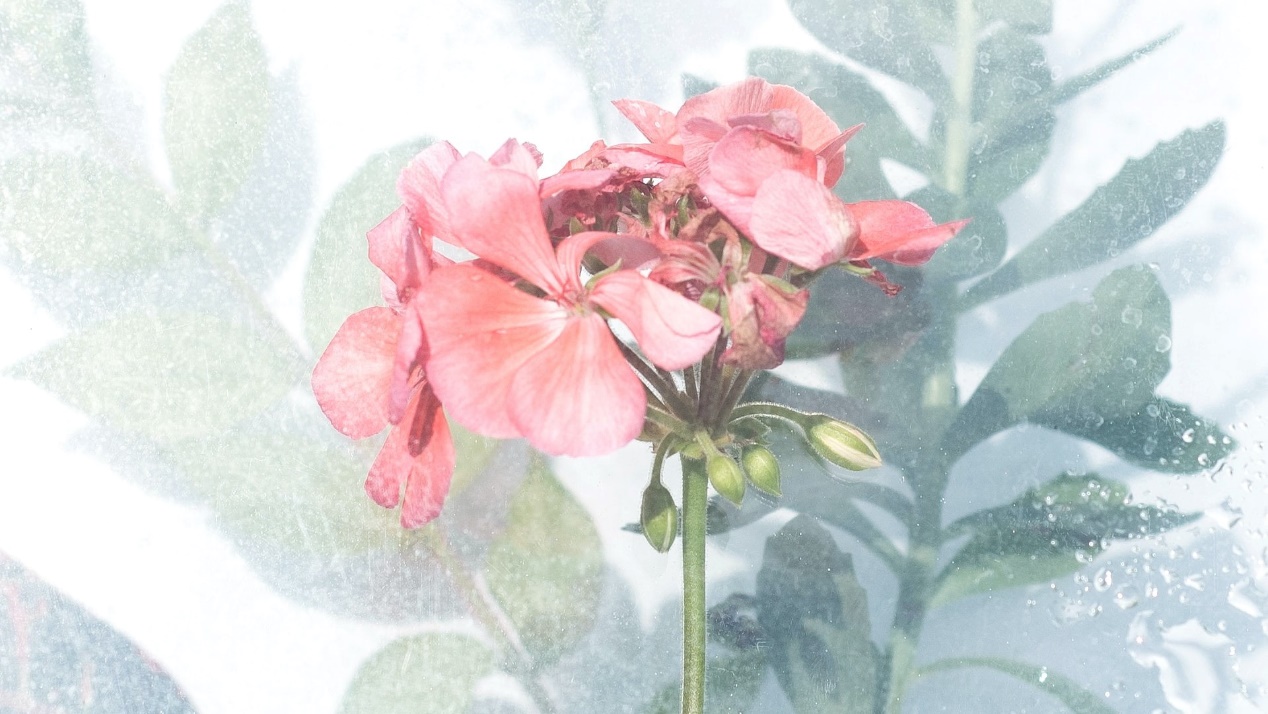 黄澜|本月开始,四大星座不缺机遇,财运上上签,爱意满满