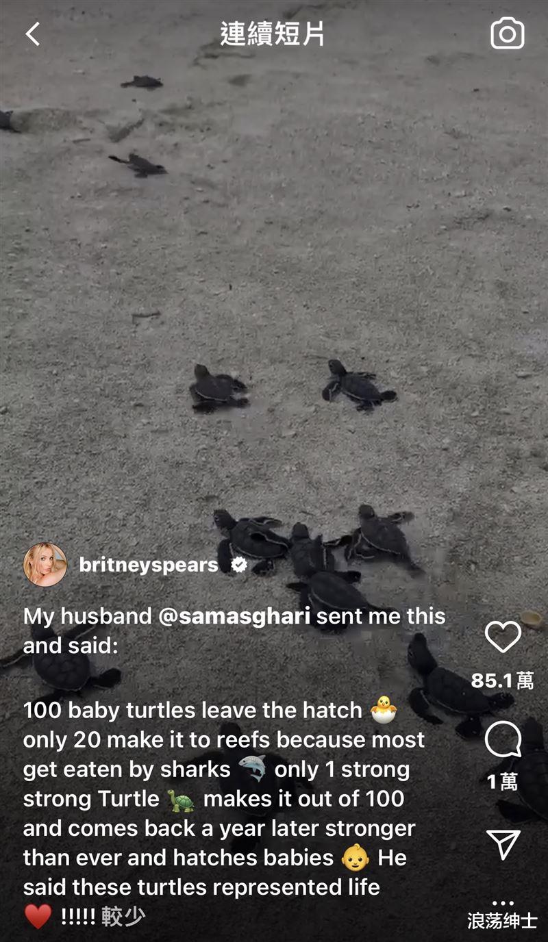 新田真剑佑|小甜甜布兰妮结婚了！暖晒粗犷老公照　网友猜测低调登记