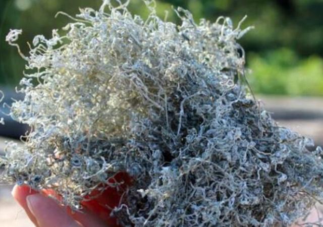 高血压|它是咽喉的“润滑剂”,有咽炎的人常喝,止痛抗菌,喉咙变清爽