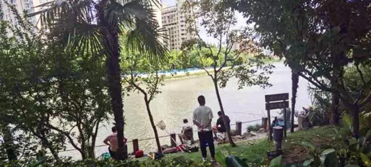 上海市|上海的钓鱼人注意啦,苏州河内禁止钓鱼,群众还直接找来了媒体
