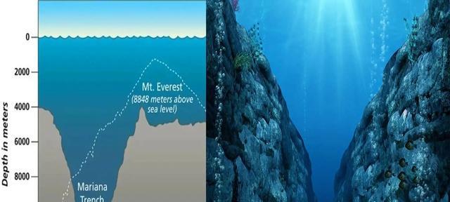 马里亚纳海沟的沟底有没有大型生物？有多大？
