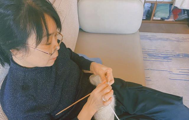 |张馨予：小院现吉象，母亲节当天鸟妈妈在自己的月季花上筑巢孵蛋