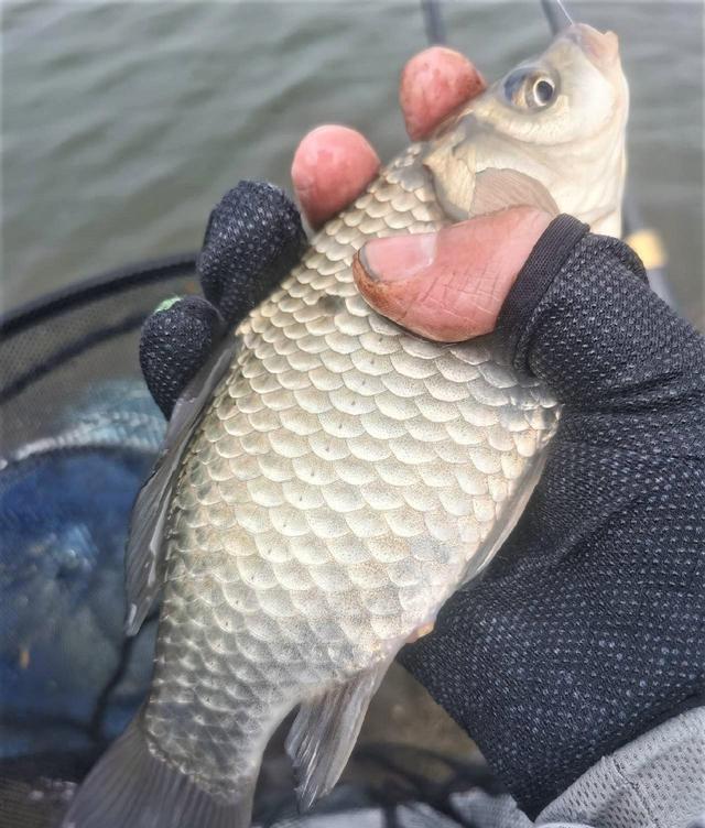 |冬季哪些天气能钓鱼，哪些天气钓不到鱼？简单2点，让你收获满满