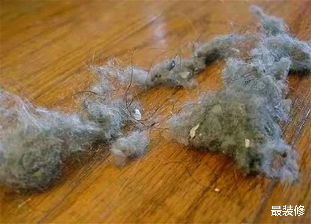春季屋内都是“毛毛”?教你正确做法,家里一周不打扫都干净