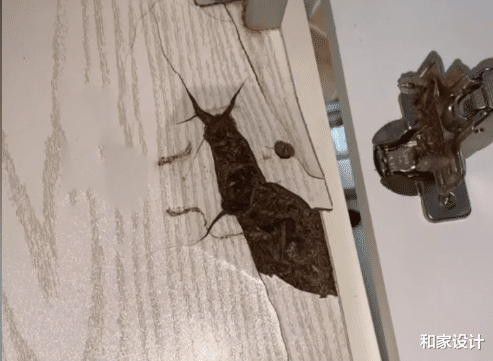 装修时定制橱柜,只要你问完这九个问题,估计哪个商家都坑不了你