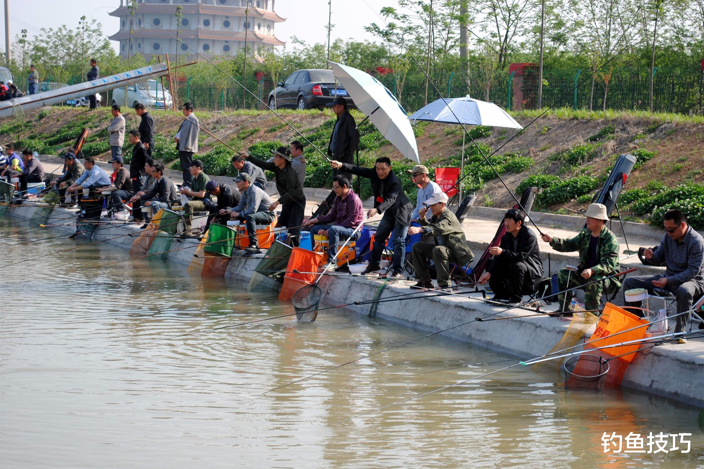 大爷|野生鱼的口味淡？黑坑鱼的口味浓？鱼饵气味浓淡对钓鱼的影响