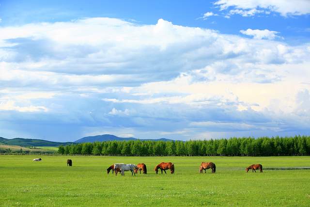 新疆维吾尔自治区|这10大景点，去过三个算及格，全都去过就是旅游达人！