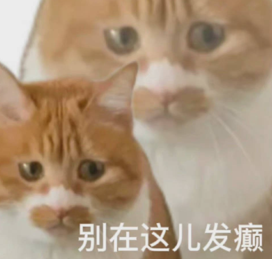 离离原上谱！上海交大冤种博士被通报批评，只因逗了流浪猫