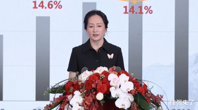 孟晚舟|因为一个“天价”胸针，孟晚舟被网友怼得“体无完肤”？