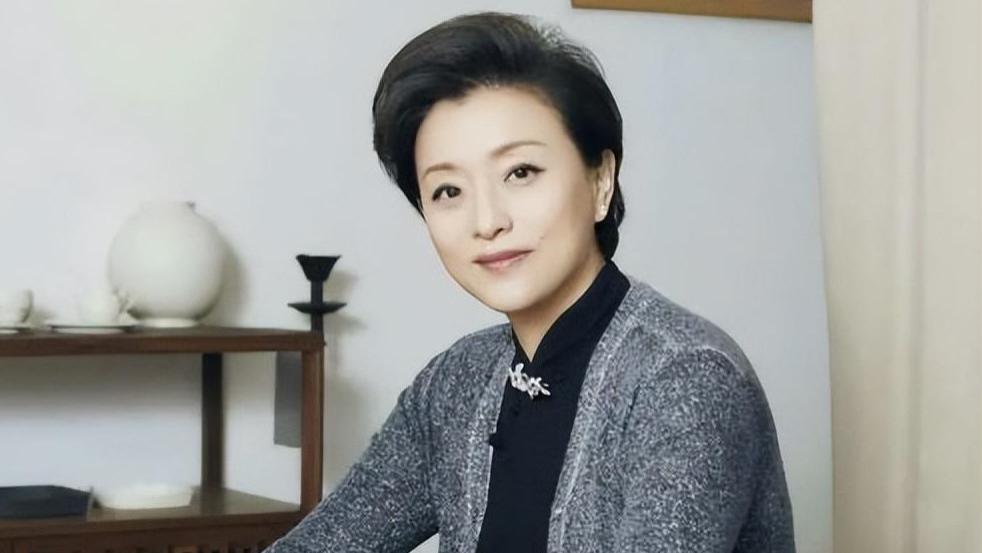 杨澜|杨澜的成名往事，以及她背后那个“不被认可”的富豪老公
