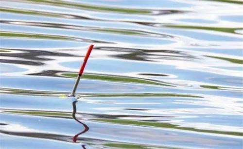 饵料|秋天里钓鱼,这7个小技巧不可小觑,能让你钓得不亦乐乎