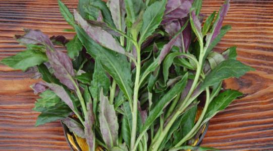 蔬菜|这4种蔬菜被卫生组织拉入“致癌名单”？事情的真相不妨看下这里