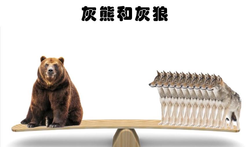 动物界的天敌:生来就彼此完全讨厌和敌视的8种动物