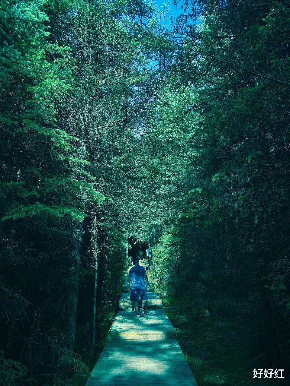 张掖|它底蕴不输敦煌!这座被严重低估的千年古城,很多人路过都错过了