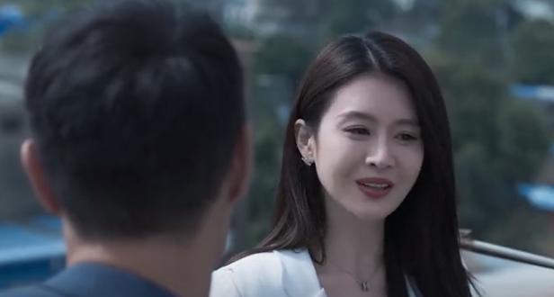 严国华|罚罪:纪虑真实身份曝光,严国华看破赵啸声和赵鹏超的部署