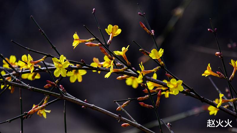 招聘|做好自己,就是最好的回馈礼物