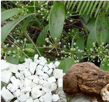 医生|三高人群的福利发放了