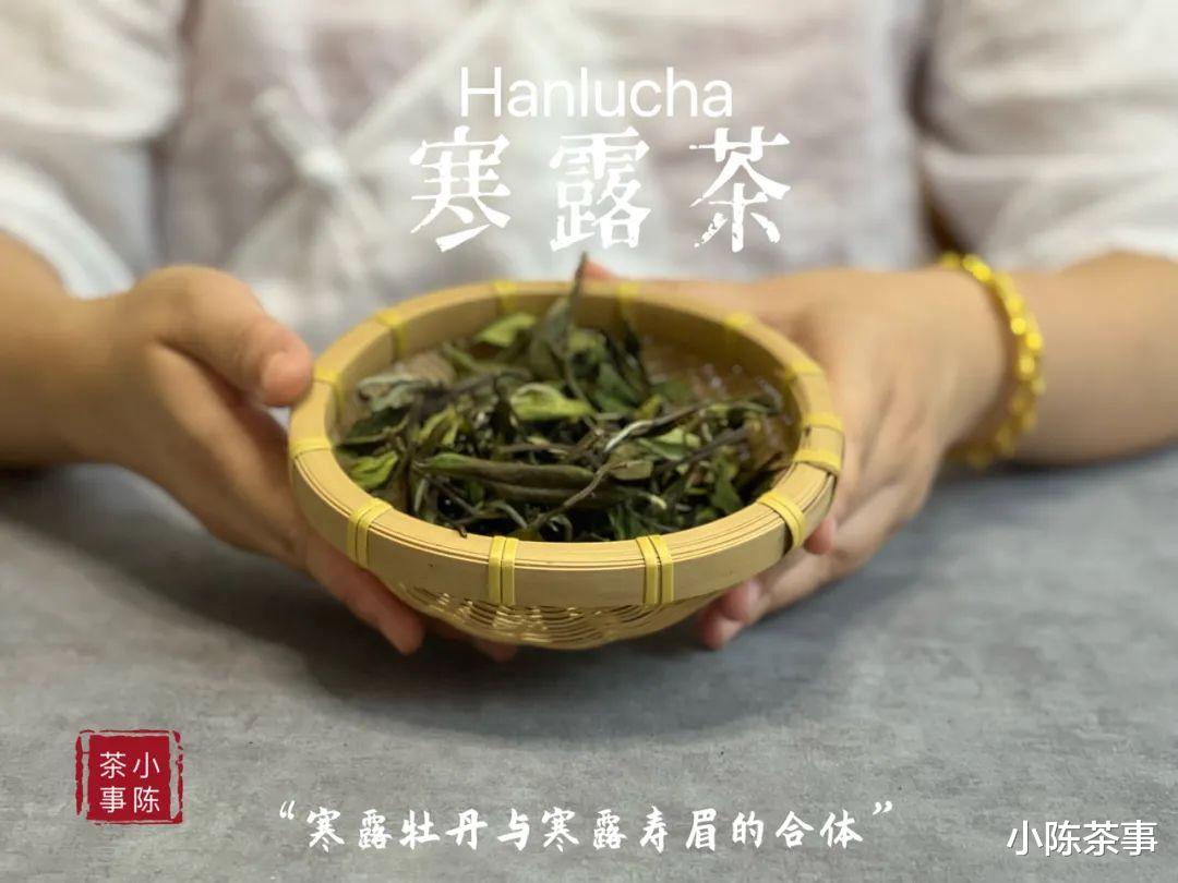 冬天宜喝老茶、熟茶、全发酵茶，但不能喝新白茶，是不是这样？