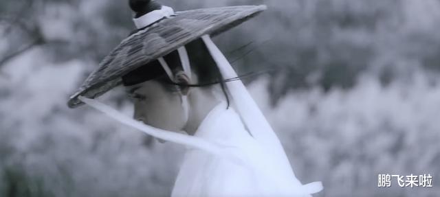 王思聪|跨国资本，递了一把刀，随后，武侠电影消失了