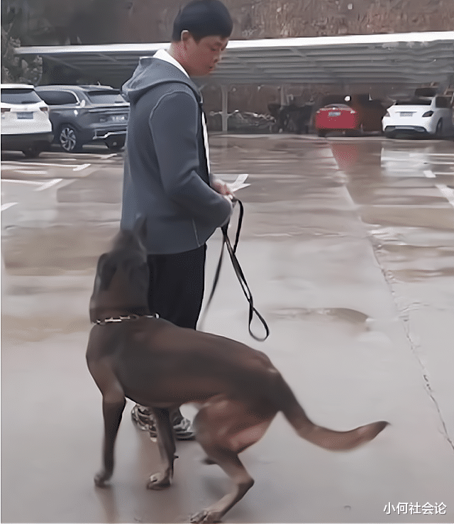 江西高中生失踪案新进展:搜救犬发现3处可疑点,真相越来越近了