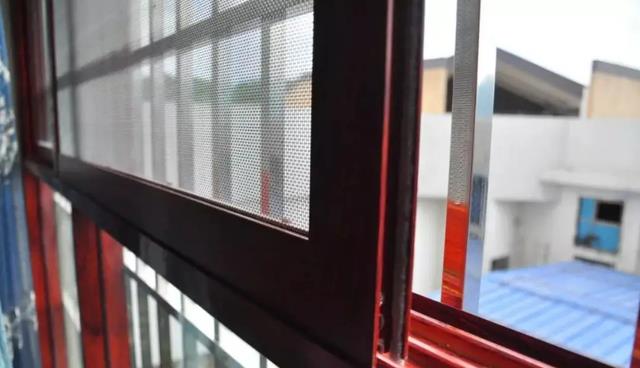 作为“四害”之一,苍蝇在这个世界上究竟存在什么意义?