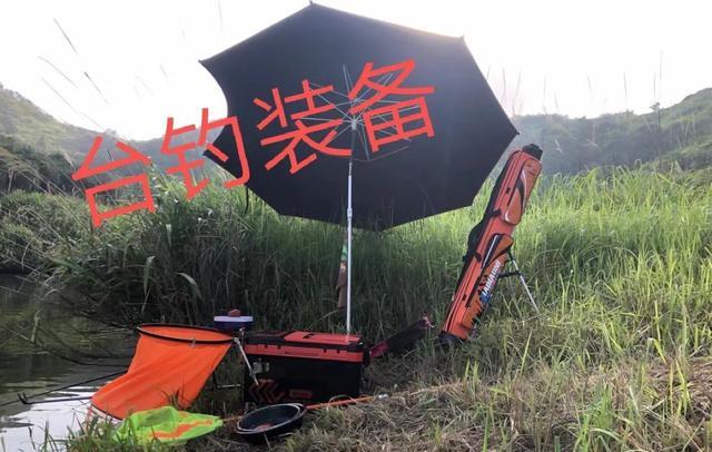 饵料|传统钓VS台钓谁更强?说出来你可能不信,传统钓才更适合新手