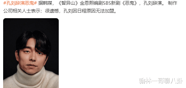 孤单又灿烂的神|孔刘辞演《鬼怪》编剧又一力作，没有档期是表象，根本原因有两点