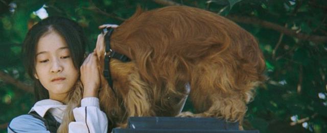 林志玲|从未来可期到人设坍塌，年轻演员自断前路，到底是何原因？