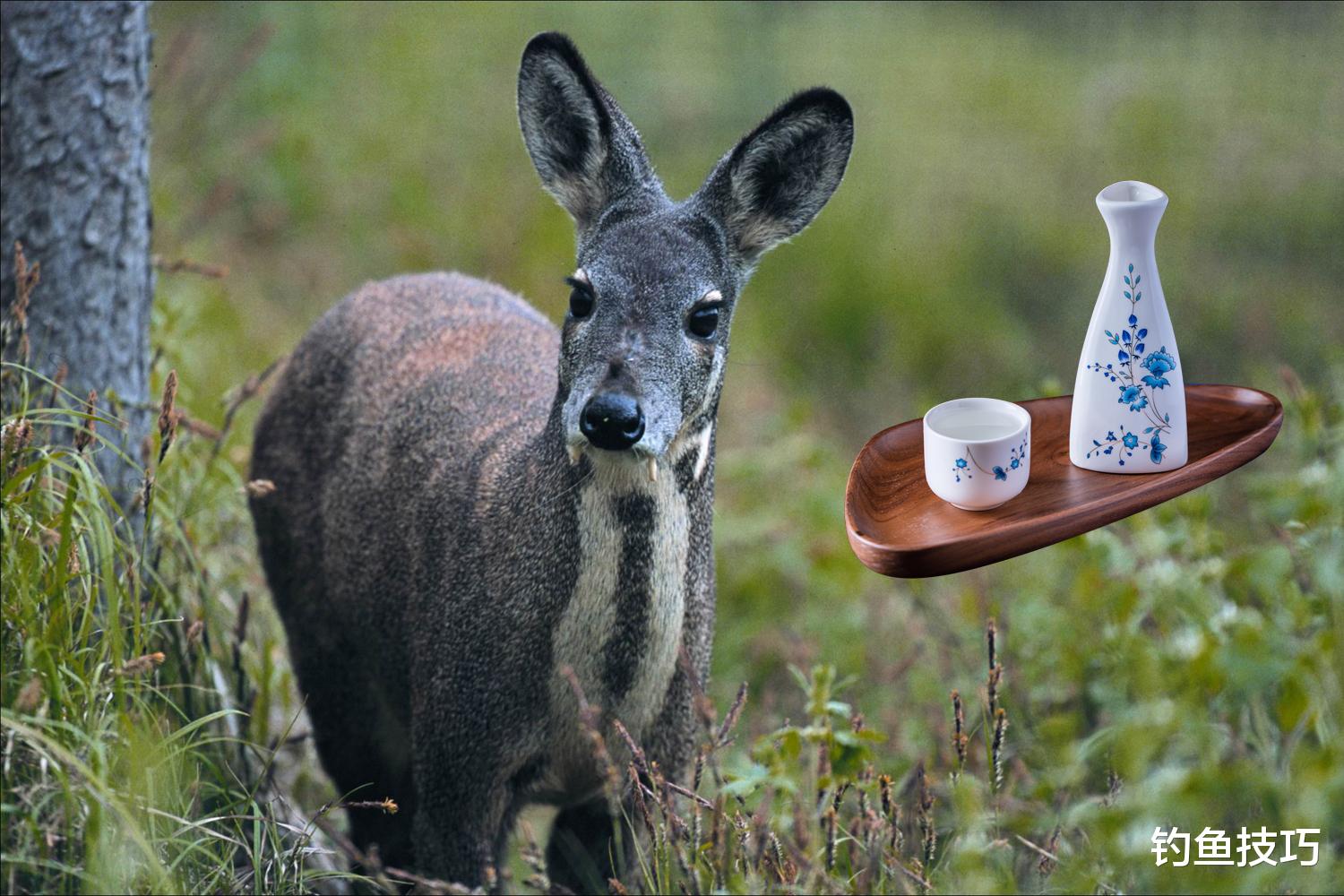 饵料|鱼饵界的5大谎言，一个比一个夸张，最后一个大家都听过