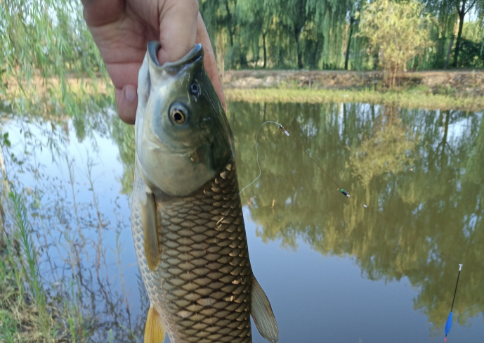 |鱼竿到底怎么选?贵的就好么?钓重大的就好么?什么鱼竿才是真好