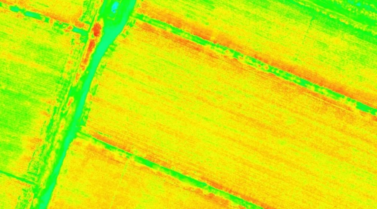 隔离|大模型产业化有四个关键，昇腾AI推动“AI+遥感”打了个样